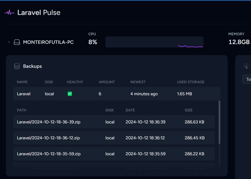 laravel-backup-pulse.png